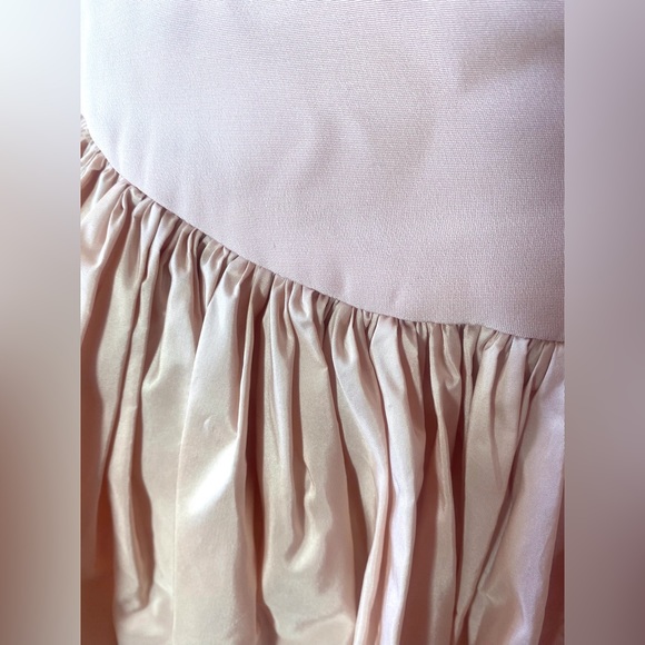 Carolina Herrera Pink Ball Skirt - Picture 10 of 13